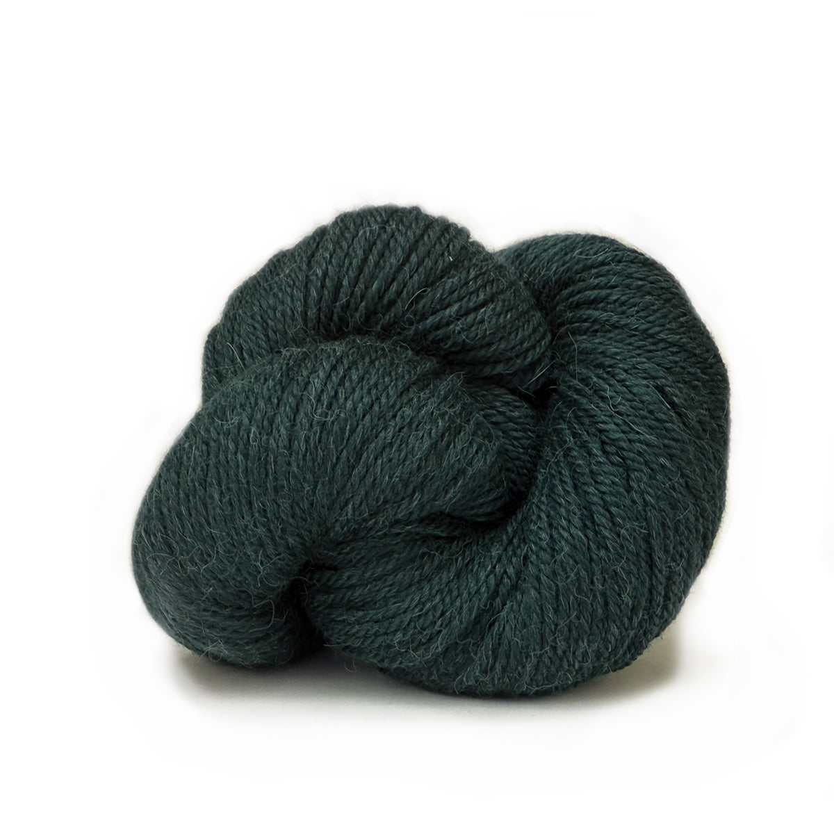 Cozy - new!