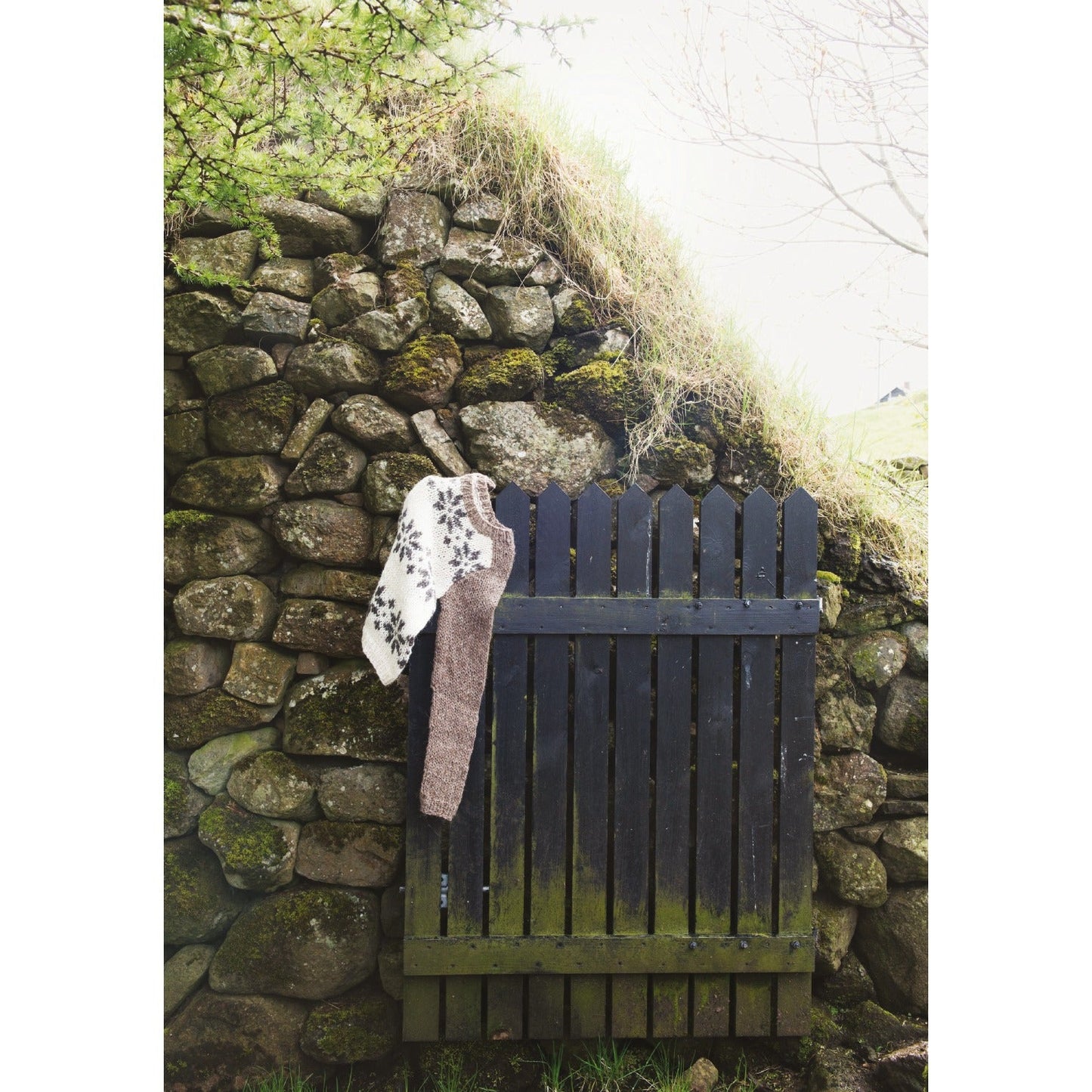 Navia Book 22