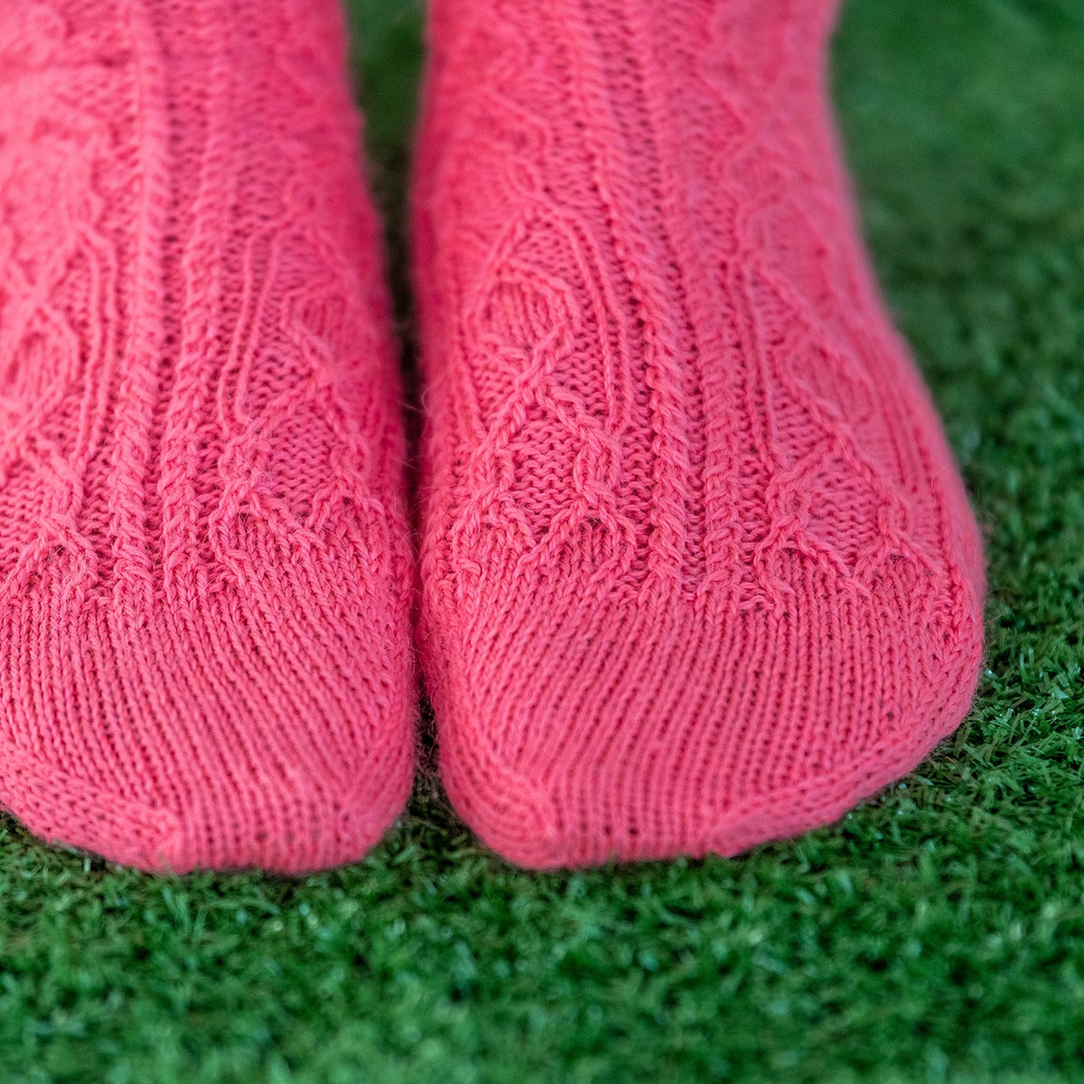 Year of Gifts Kit - Sweet Pea Socks