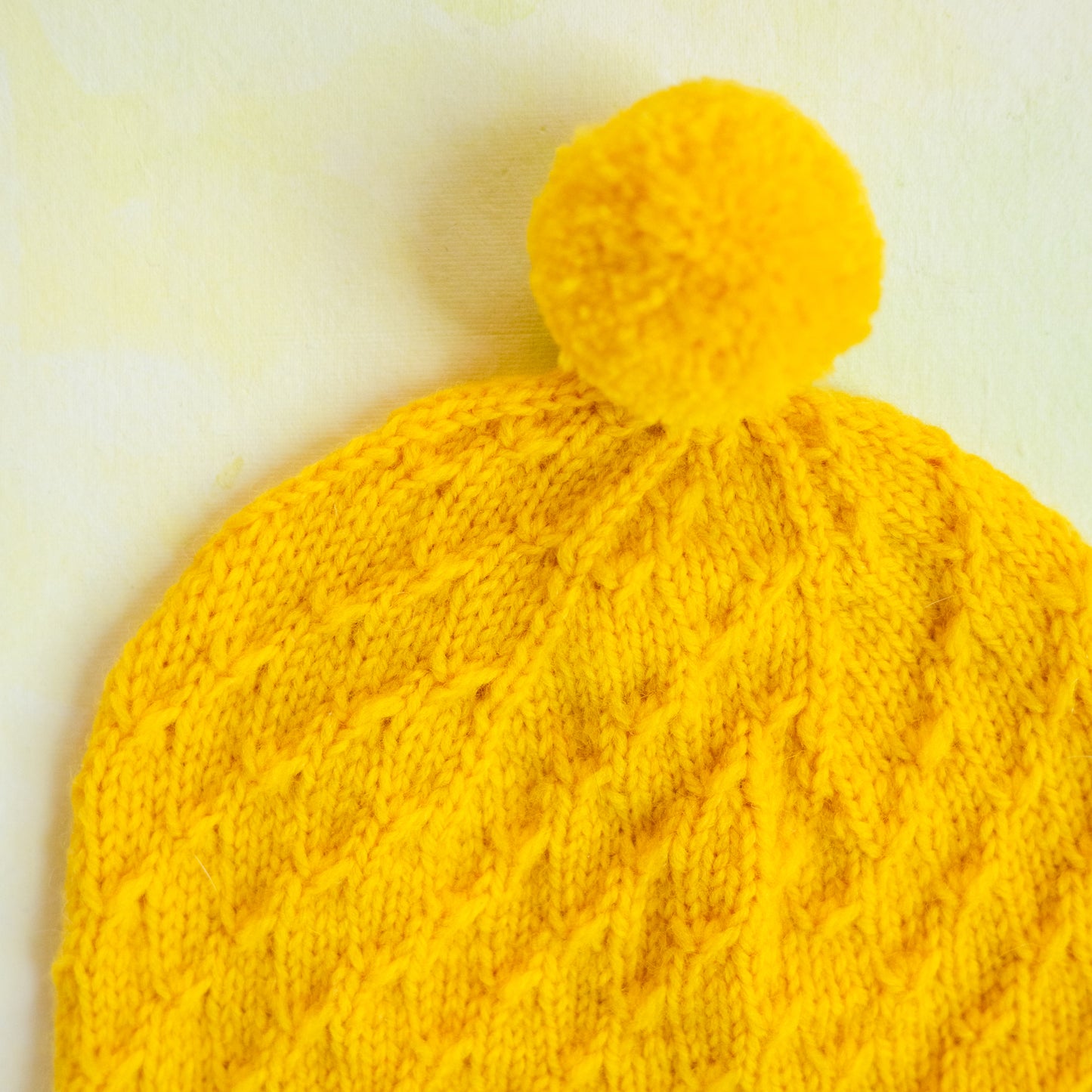 Year of DK Hats Belinda Kit (yarn included)
